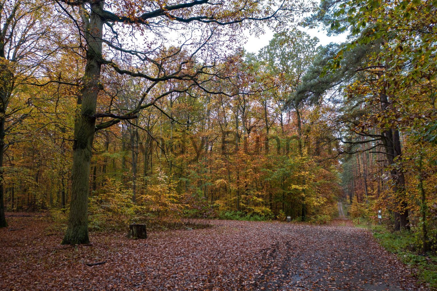 Preview ab201101_Herbst_0009.jpg